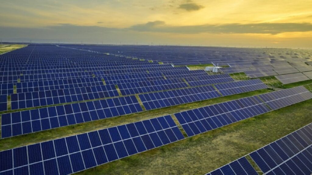 Tamil Nadu Plans 4 GW Solar Park with Battery Storage: TANGEDCO’s Renewable Push Accelerates